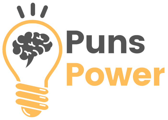 PunsPower