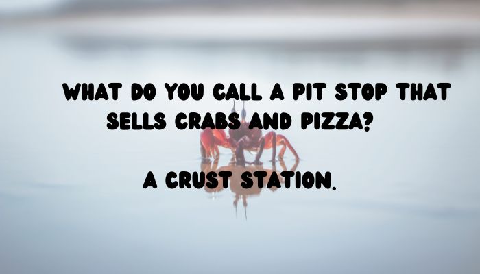 100 crab puns jokes 4