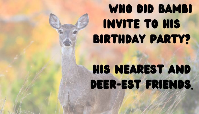 100 deer puns jokes 5