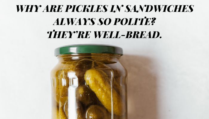 110+ Pickle Puns & Jokes