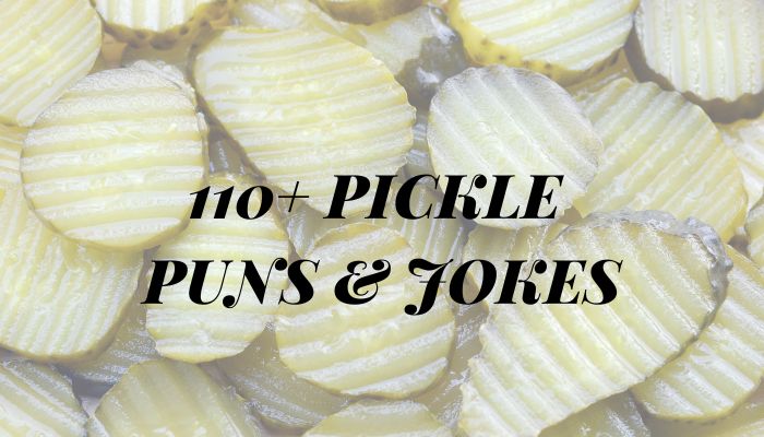 110+ Pickle Puns & Jokes