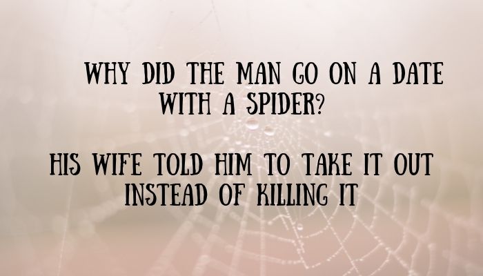 110 spider puns jokes 4