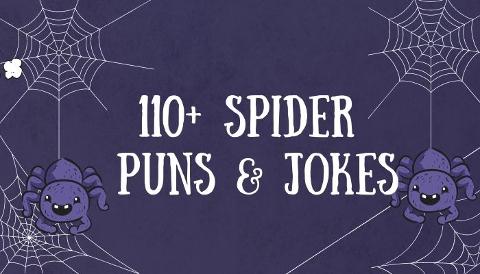 110+ Spider Puns & Jokes
