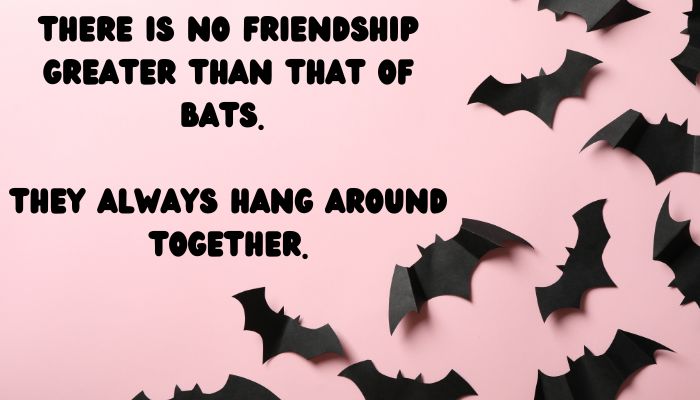 115 bat puns jokes 4