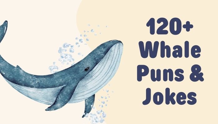 120+ Whale Puns & Jokes