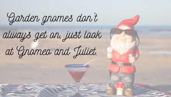 140+ Gnome Puns & Jokes