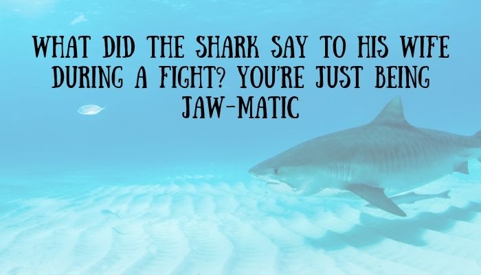 145 shark puns jokes 2