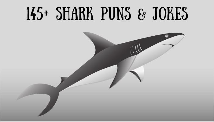 145+ Shark Puns & Jokes