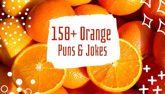 150+ Orange Puns & Jokes (1)