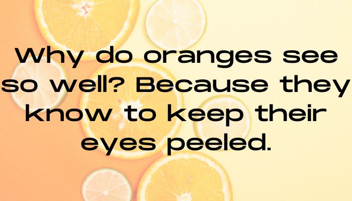 150+ Orange Puns & Jokes (2)