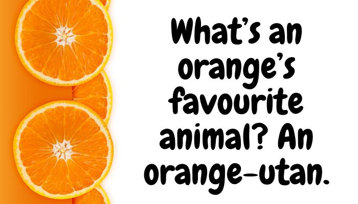 150+ Orange Puns & Jokes (5)