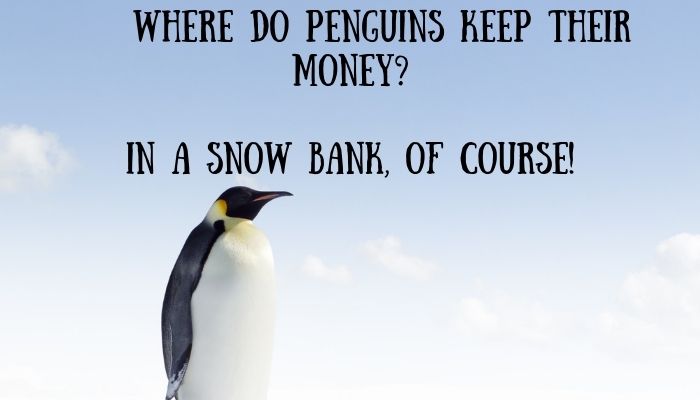200 penguin puns jokes 2