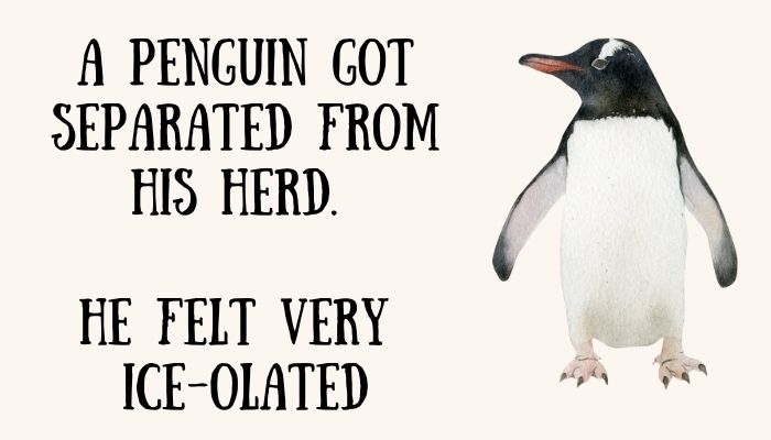200 penguin puns jokes 4