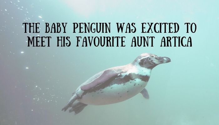 200 penguin puns jokes 5