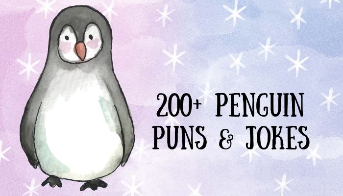 200+ Penguin Puns & Jokes