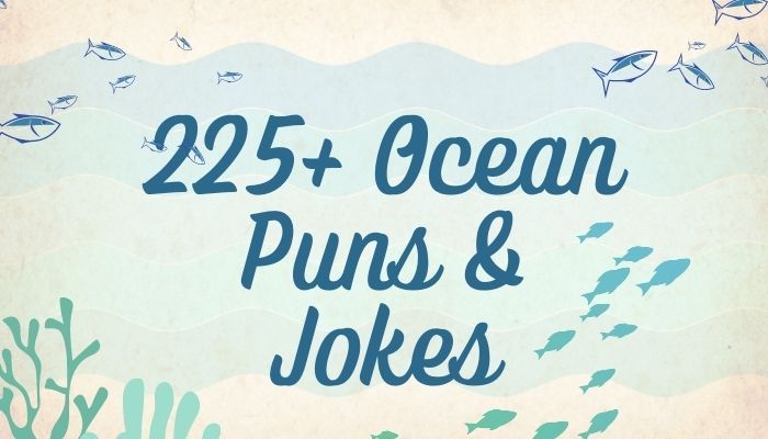 225+ Ocean Puns & Jokes