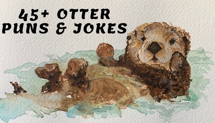 45+ Otter Puns & Jokes