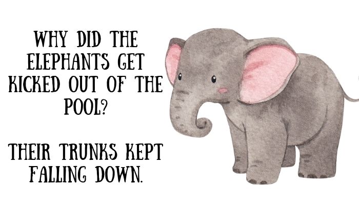 80 elephant puns jokes 4
