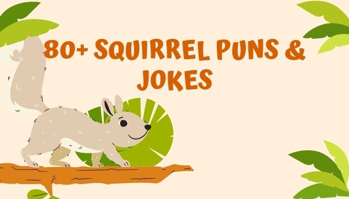 80+ Squirrel Puns & Jokes | PunsPower