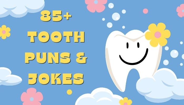 85+ Tooth Puns & Jokes