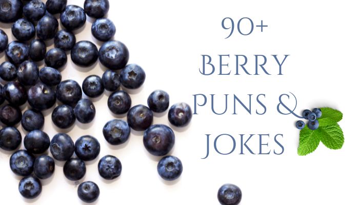 90+ Berry Puns & Jokes