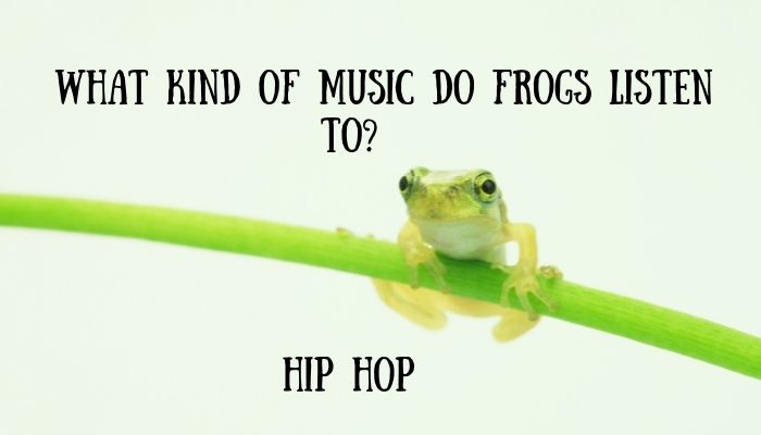 90 frog puns jokes 3