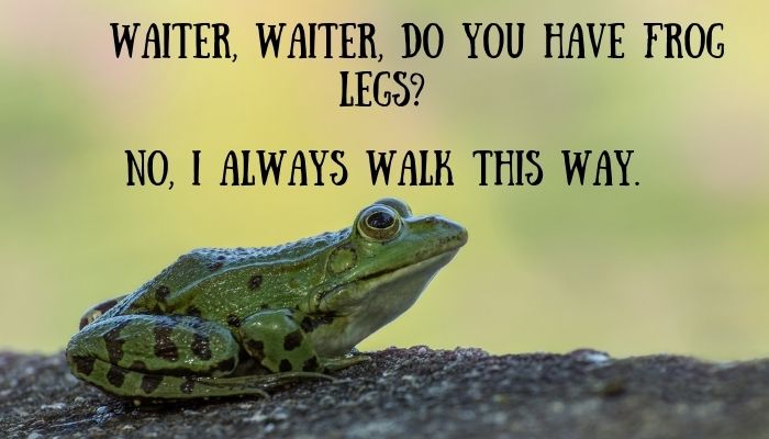 90 frog puns jokes 4
