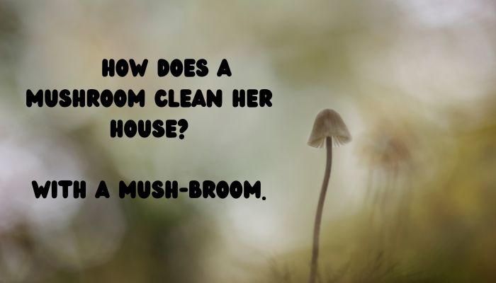 90 mushroom puns jokes 4