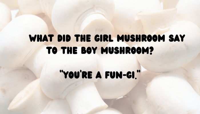 90 mushroom puns jokes 5