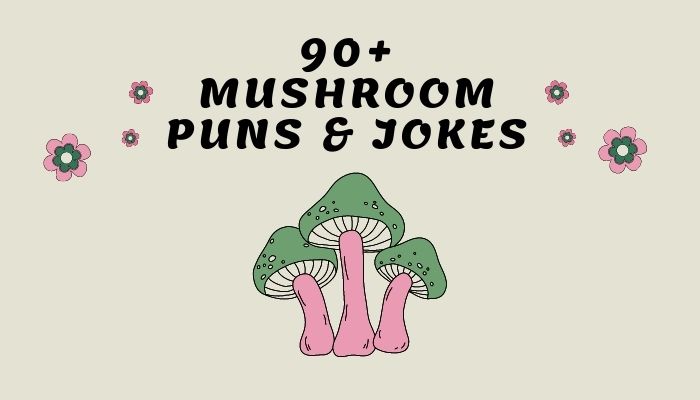 90+ Mushroom Puns & Jokes