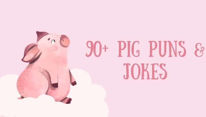 90+ Pig Puns & Jokes